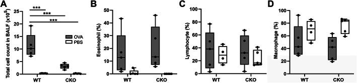 https://cdn.ncbi.nlm.nih.gov/pmc/blobs/5517/10107741/2ee1e608aefd/PATH-259-331-g005.jpg