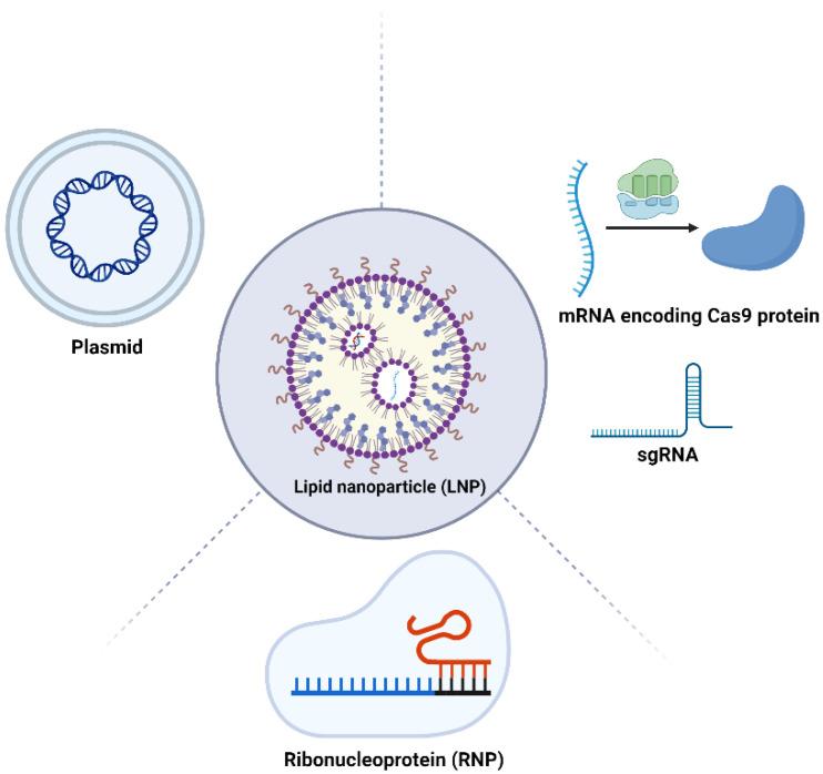 https://cdn.ncbi.nlm.nih.gov/pmc/blobs/5517/11011435/91a32a5c9610/cells-13-00568-g003.jpg