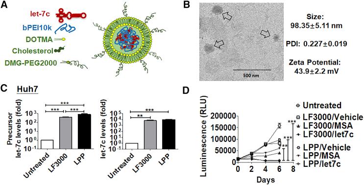 https://cdn.ncbi.nlm.nih.gov/pmc/blobs/5517/6370598/345f6635e8ba/gr5.jpg