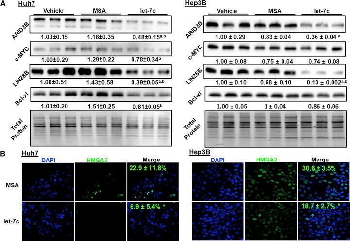 https://cdn.ncbi.nlm.nih.gov/pmc/blobs/5517/6370598/da6357690f82/gr2.jpg