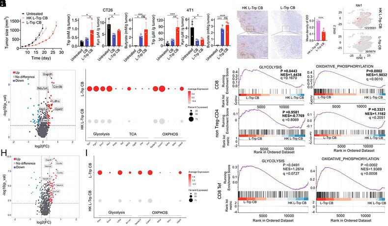 https://cdn.ncbi.nlm.nih.gov/pmc/blobs/5518/11670085/3f672cc42abe/pnas.2412070121fig05.jpg