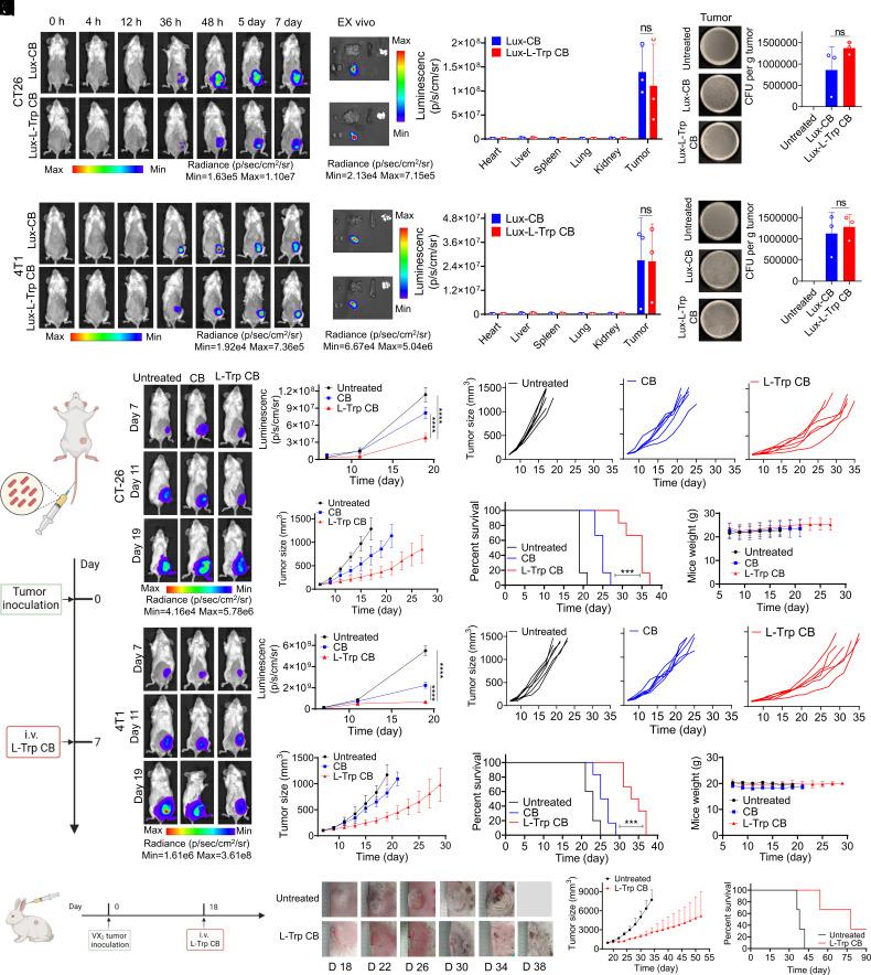 https://cdn.ncbi.nlm.nih.gov/pmc/blobs/5518/11670085/6f29dcaefc4d/pnas.2412070121fig02.jpg