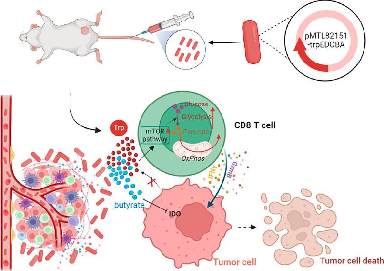 https://cdn.ncbi.nlm.nih.gov/pmc/blobs/5518/11670085/891f668ad061/pnas.2412070121fig07.jpg