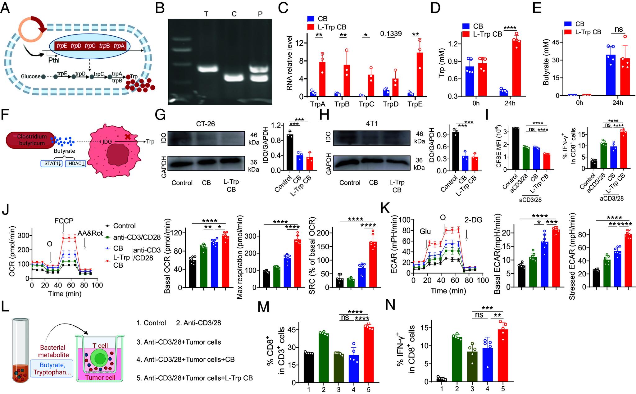 https://cdn.ncbi.nlm.nih.gov/pmc/blobs/5518/11670085/f0fd4157a045/pnas.2412070121fig01.jpg