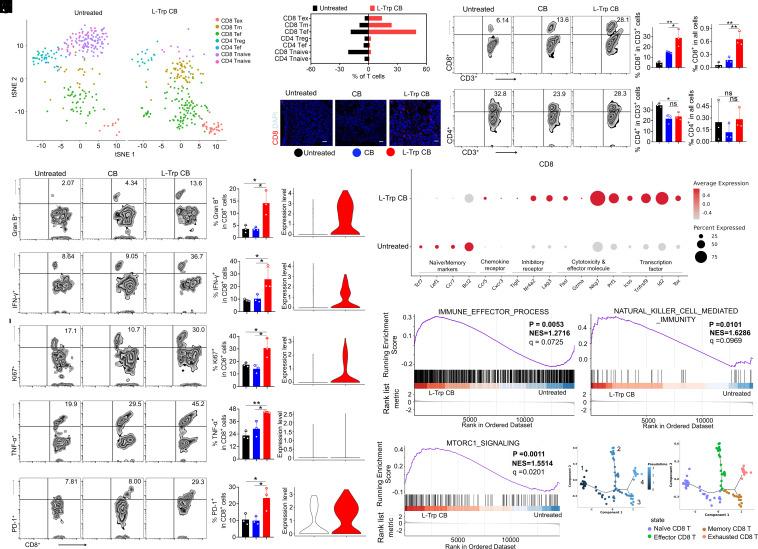 https://cdn.ncbi.nlm.nih.gov/pmc/blobs/5518/11670085/fcdad95b8a52/pnas.2412070121fig03.jpg