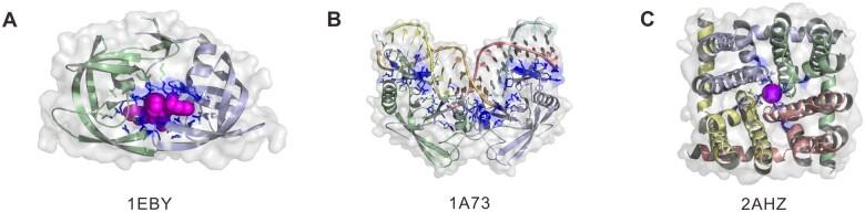 https://cdn.ncbi.nlm.nih.gov/pmc/blobs/5519/11423850/506800472d78/qzae001f2.jpg