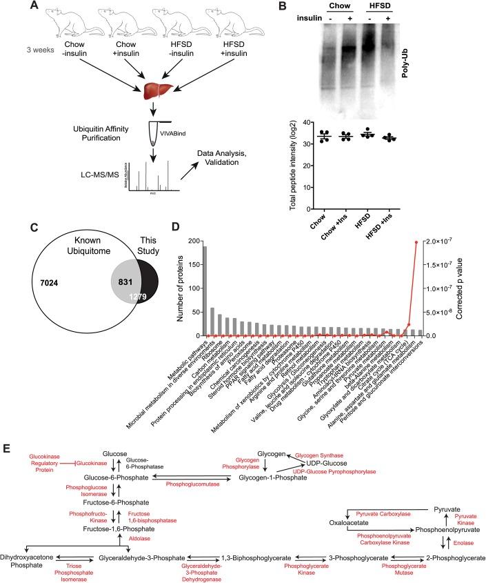 https://cdn.ncbi.nlm.nih.gov/pmc/blobs/551c/5362237/16717f6c2b78/pone.0174431.g002.jpg