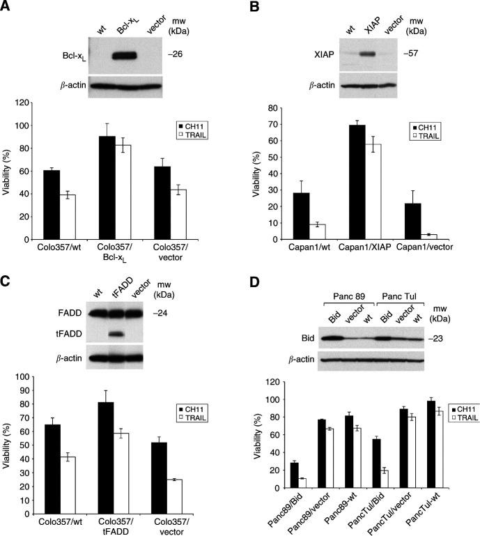 https://cdn.ncbi.nlm.nih.gov/pmc/blobs/551d/2394395/842c10985fec/89-6601330f6.jpg