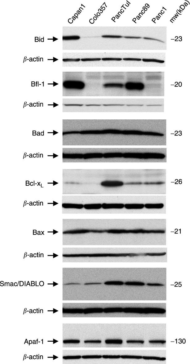 https://cdn.ncbi.nlm.nih.gov/pmc/blobs/551d/2394395/8cfcdd74f31a/89-6601330f4.jpg