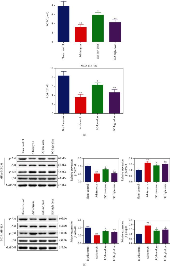 https://cdn.ncbi.nlm.nih.gov/pmc/blobs/551d/9519309/0d9ab8c2ea6d/JO2022-8802453.009.jpg