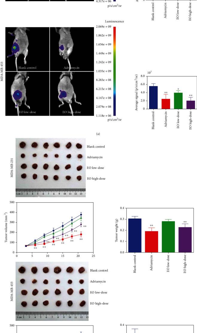 https://cdn.ncbi.nlm.nih.gov/pmc/blobs/551d/9519309/35451028e183/JO2022-8802453.007.jpg