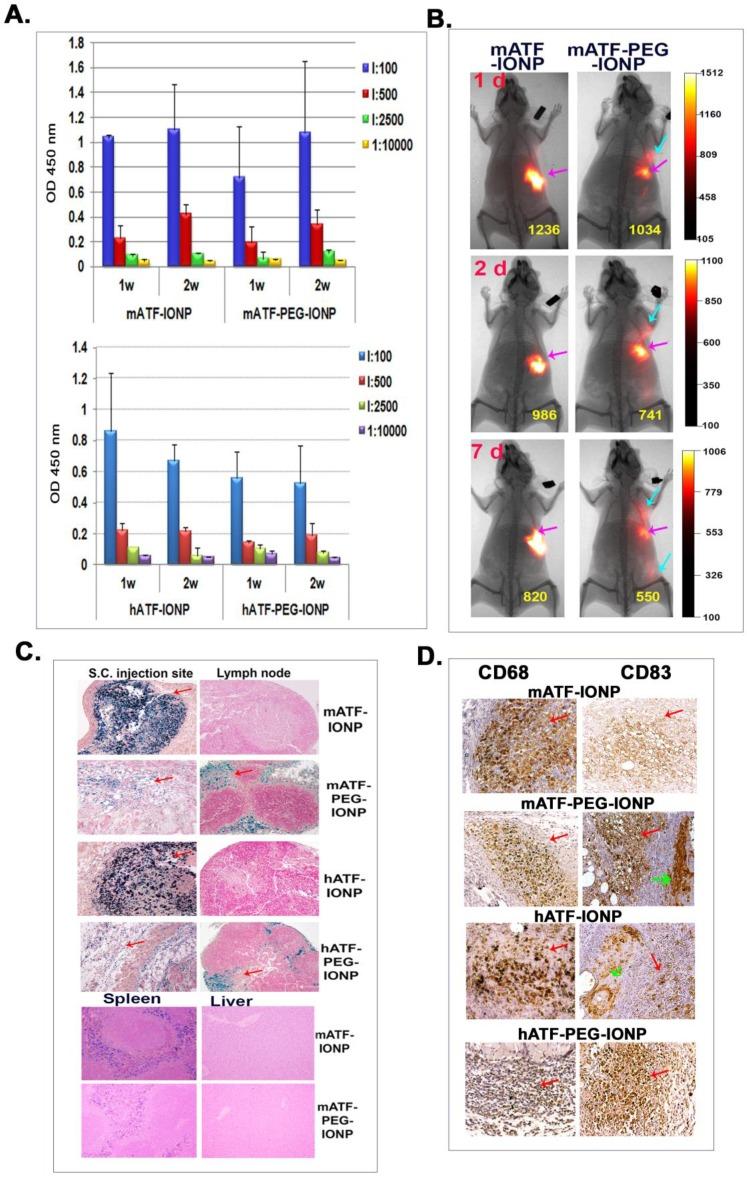 https://cdn.ncbi.nlm.nih.gov/pmc/blobs/551e/4265747/5c4d1d0ad72d/thnov05p0043g005.jpg