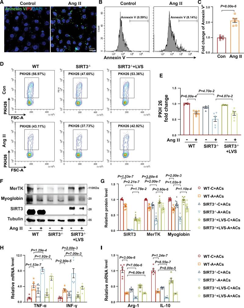 https://cdn.ncbi.nlm.nih.gov/pmc/blobs/5520/10498872/85104763d15a/res-133-631-g002.jpg