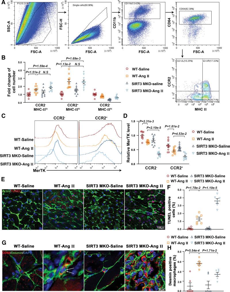 https://cdn.ncbi.nlm.nih.gov/pmc/blobs/5520/10498872/967eda3b6468/res-133-631-g001.jpg