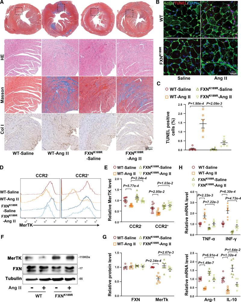 https://cdn.ncbi.nlm.nih.gov/pmc/blobs/5520/10498872/ad3130e7a7d1/res-133-631-g007.jpg