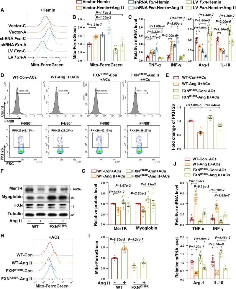 https://cdn.ncbi.nlm.nih.gov/pmc/blobs/5520/10498872/e6305b27e3d8/res-133-631-g005.jpg