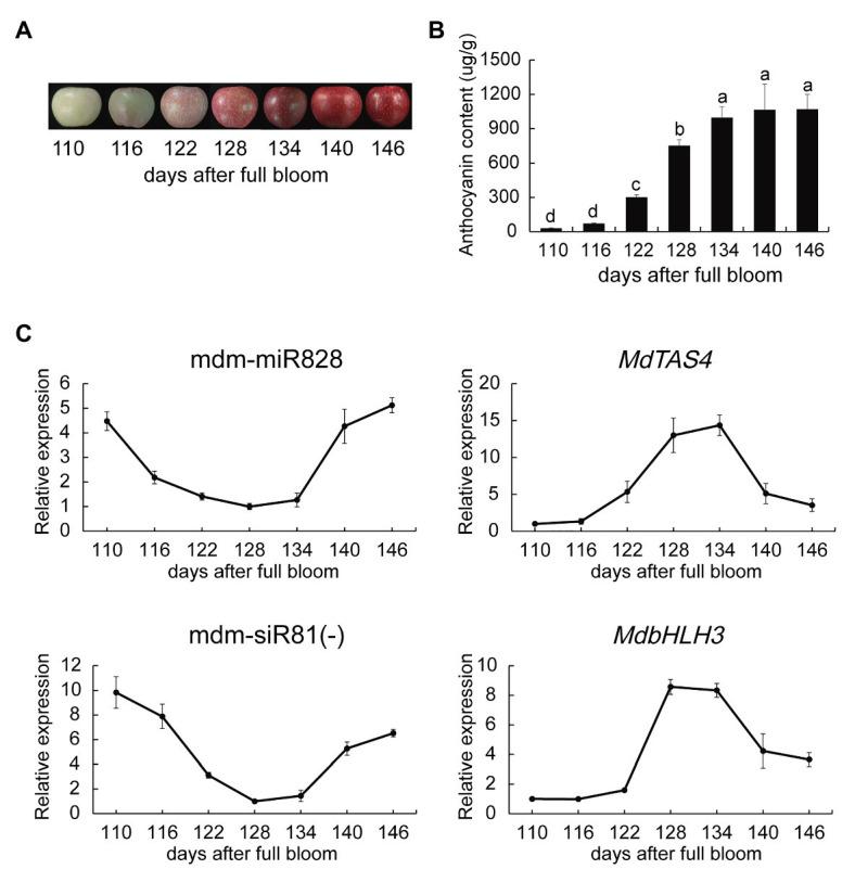 https://cdn.ncbi.nlm.nih.gov/pmc/blobs/5520/7774908/1ae7e1bda123/fpls-11-608109-g001.jpg