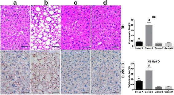 https://cdn.ncbi.nlm.nih.gov/pmc/blobs/5522/5120511/85db752fbfb2/12944_2016_370_Fig3_HTML.jpg