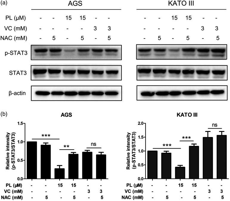 https://cdn.ncbi.nlm.nih.gov/pmc/blobs/5524/9087272/516c42fa0619/10.1177_03000605221093308-fig6.jpg