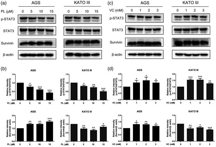 https://cdn.ncbi.nlm.nih.gov/pmc/blobs/5524/9087272/6396ace561ee/10.1177_03000605221093308-fig4.jpg