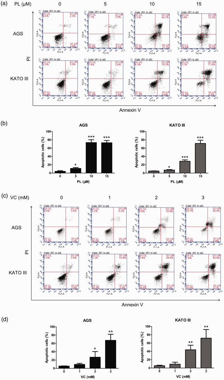 https://cdn.ncbi.nlm.nih.gov/pmc/blobs/5524/9087272/dfa0ae7c835e/10.1177_03000605221093308-fig3.jpg