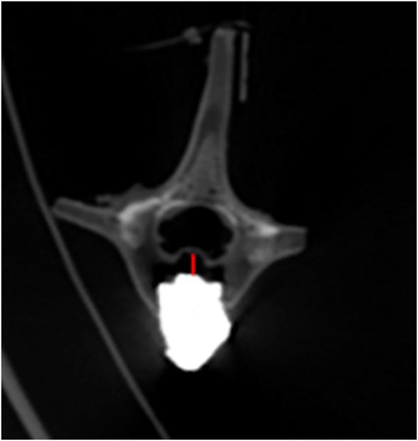 https://cdn.ncbi.nlm.nih.gov/pmc/blobs/5525/10354293/33d6e939f002/fbioe-11-1218478-g009.jpg