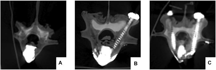 https://cdn.ncbi.nlm.nih.gov/pmc/blobs/5525/10354293/9465b20f9df2/fbioe-11-1218478-g005.jpg