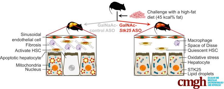 https://cdn.ncbi.nlm.nih.gov/pmc/blobs/5525/6411916/0a9d7df3c83e/fx1.jpg