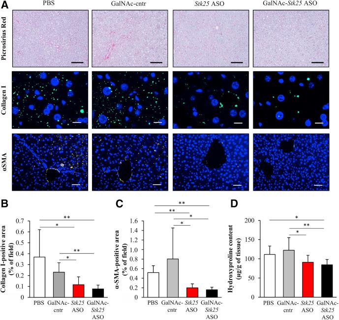 https://cdn.ncbi.nlm.nih.gov/pmc/blobs/5525/6411916/62d44f992b2f/gr8.jpg