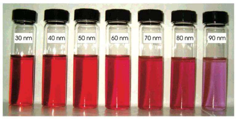 https://cdn.ncbi.nlm.nih.gov/pmc/blobs/5525/9968101/0c609eb2a7de/pharmaceutics-15-00500-g003.jpg