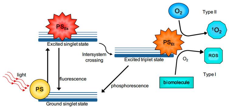 https://cdn.ncbi.nlm.nih.gov/pmc/blobs/5525/9968101/15d875492c6e/pharmaceutics-15-00500-g009.jpg