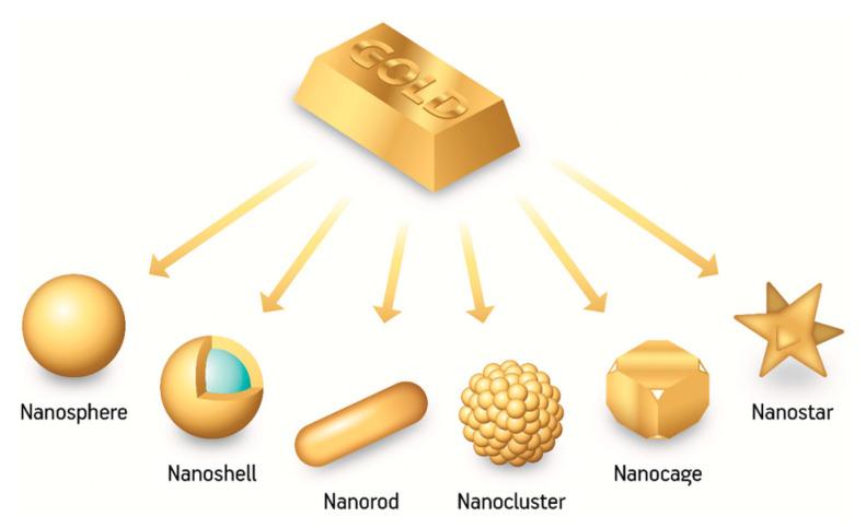 https://cdn.ncbi.nlm.nih.gov/pmc/blobs/5525/9968101/43aa152a9593/pharmaceutics-15-00500-g005.jpg