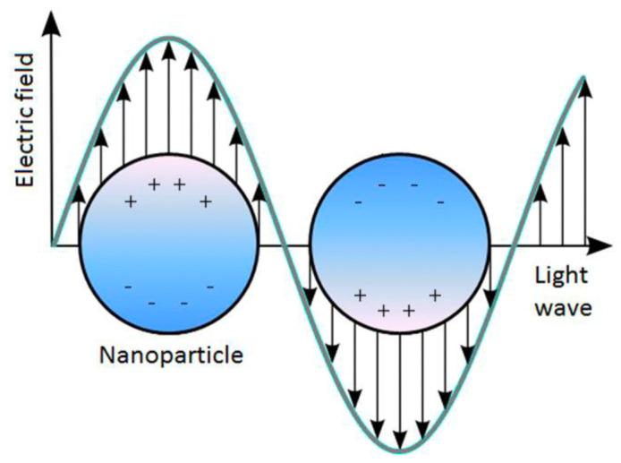 https://cdn.ncbi.nlm.nih.gov/pmc/blobs/5525/9968101/c3aecc290d0b/pharmaceutics-15-00500-g002.jpg