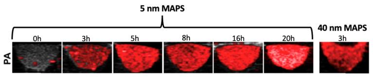 https://cdn.ncbi.nlm.nih.gov/pmc/blobs/5525/9968101/c7be34f6e181/pharmaceutics-15-00500-g010.jpg