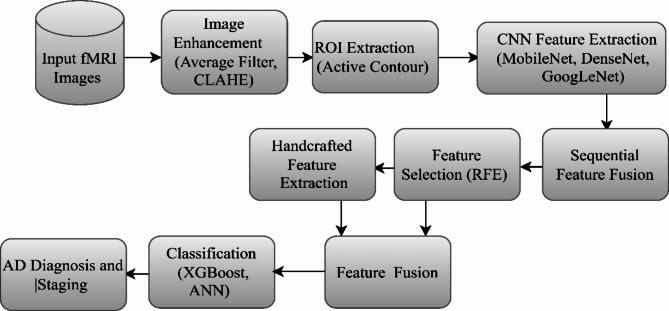 https://cdn.ncbi.nlm.nih.gov/pmc/blobs/5527/11682306/554abf1c3059/41598_2024_82544_Fig1_HTML.jpg