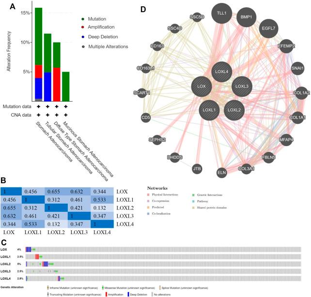 https://cdn.ncbi.nlm.nih.gov/pmc/blobs/5527/8812723/5c1dabd69a96/fgene-12-760534-g005.jpg