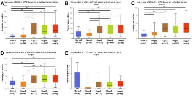 https://cdn.ncbi.nlm.nih.gov/pmc/blobs/5527/8812723/da47cdffadc5/fgene-12-760534-g003.jpg