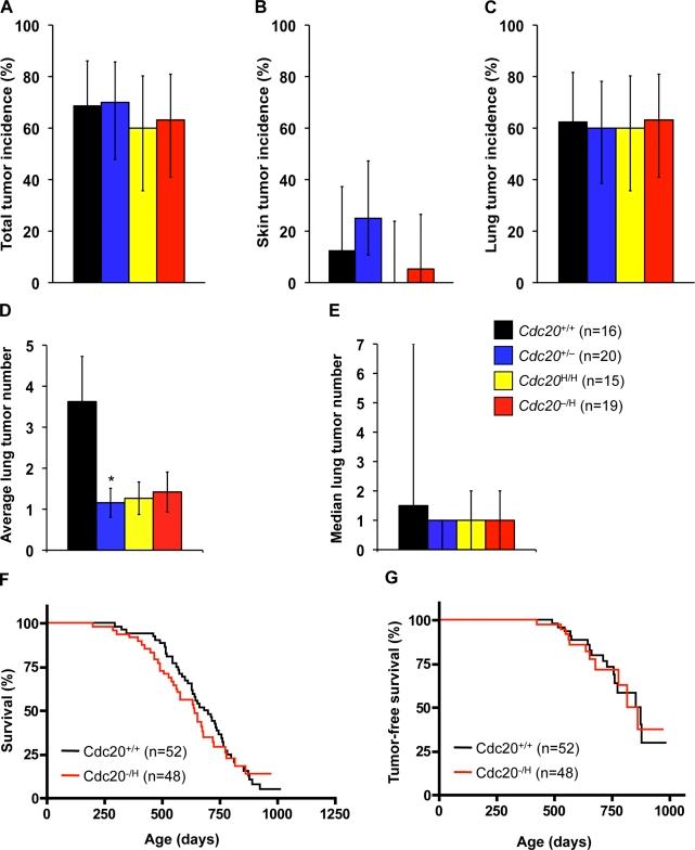 https://cdn.ncbi.nlm.nih.gov/pmc/blobs/5528/2958469/6fa8354e13ea/JCB_201003090_RGB_Fig8.jpg