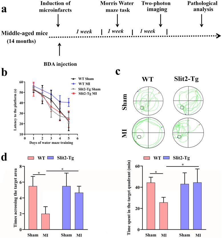 https://cdn.ncbi.nlm.nih.gov/pmc/blobs/5529/7542754/3339f449b9b5/13041_2020_659_Fig1_HTML.jpg