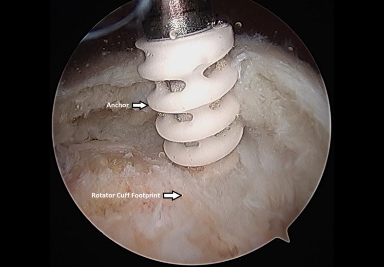 https://cdn.ncbi.nlm.nih.gov/pmc/blobs/5529/7587230/522a4e436ea7/gr9.jpg