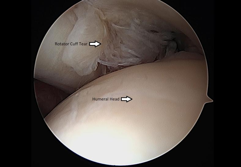 https://cdn.ncbi.nlm.nih.gov/pmc/blobs/5529/7587230/8a6144368ed7/gr1.jpg