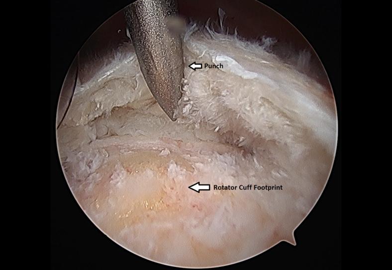 https://cdn.ncbi.nlm.nih.gov/pmc/blobs/5529/7587230/963852a3cf81/gr8.jpg