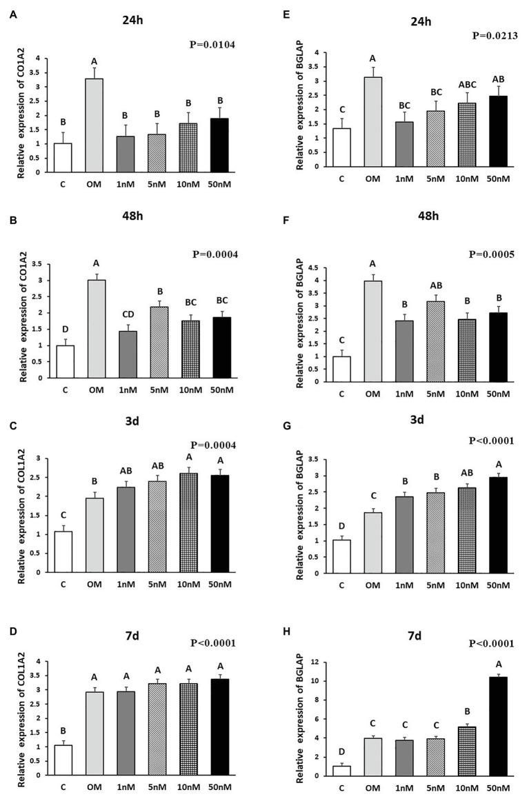 https://cdn.ncbi.nlm.nih.gov/pmc/blobs/552a/7882605/3857fb8d5bca/fphys-12-479596-g002.jpg