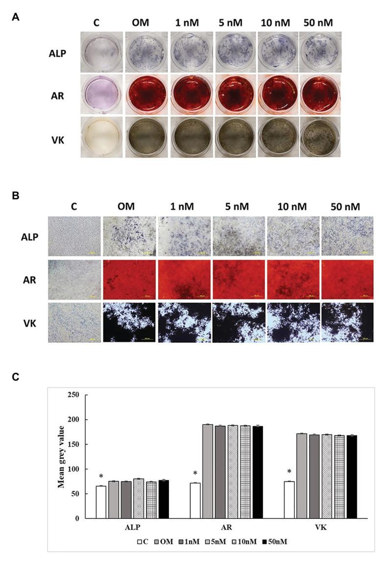 https://cdn.ncbi.nlm.nih.gov/pmc/blobs/552a/7882605/38b0cdbd54a4/fphys-12-479596-g007.jpg