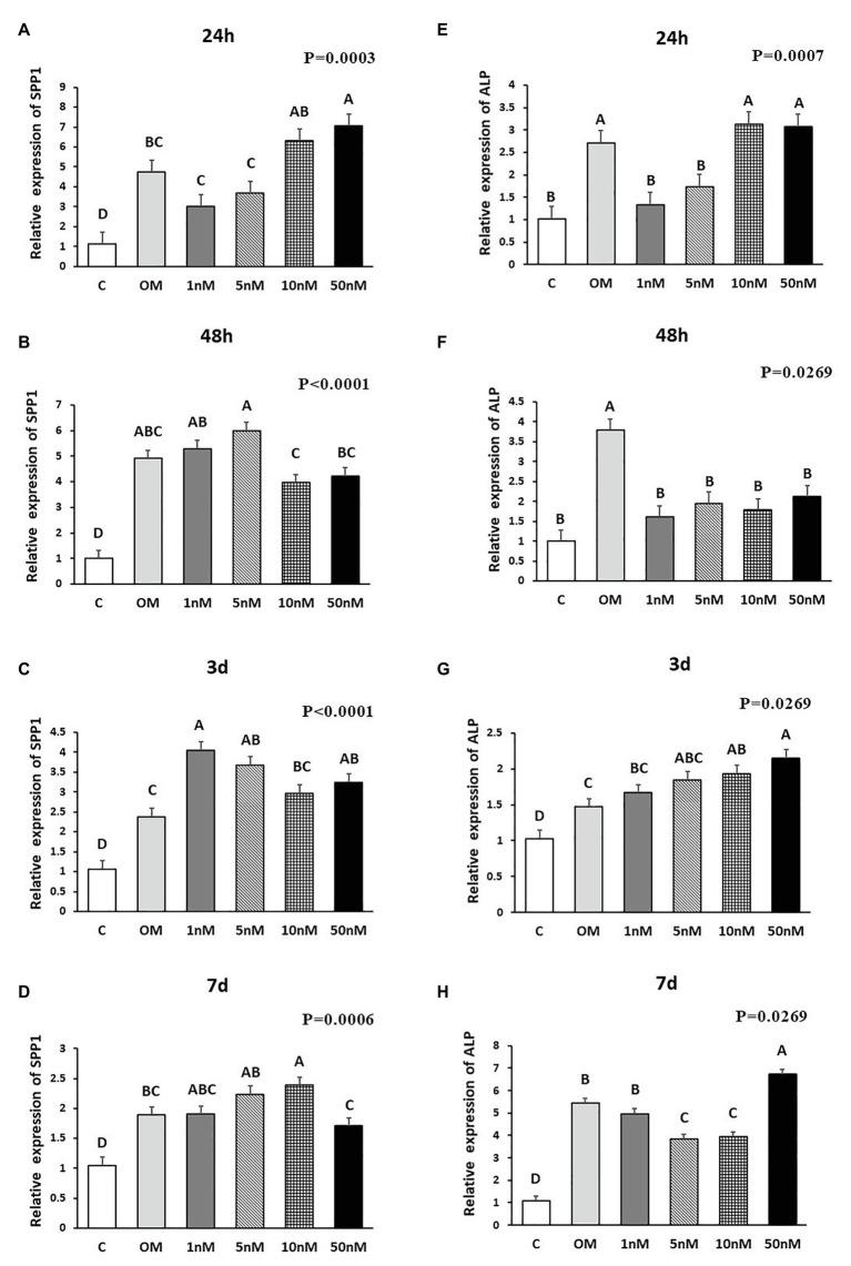 https://cdn.ncbi.nlm.nih.gov/pmc/blobs/552a/7882605/72af4aa47644/fphys-12-479596-g003.jpg