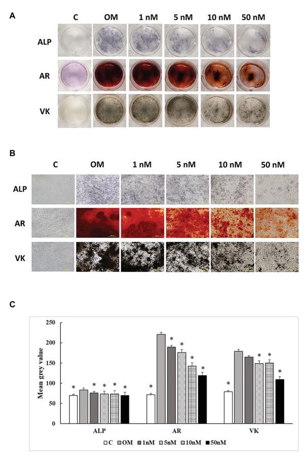 https://cdn.ncbi.nlm.nih.gov/pmc/blobs/552a/7882605/d48543d29880/fphys-12-479596-g006.jpg