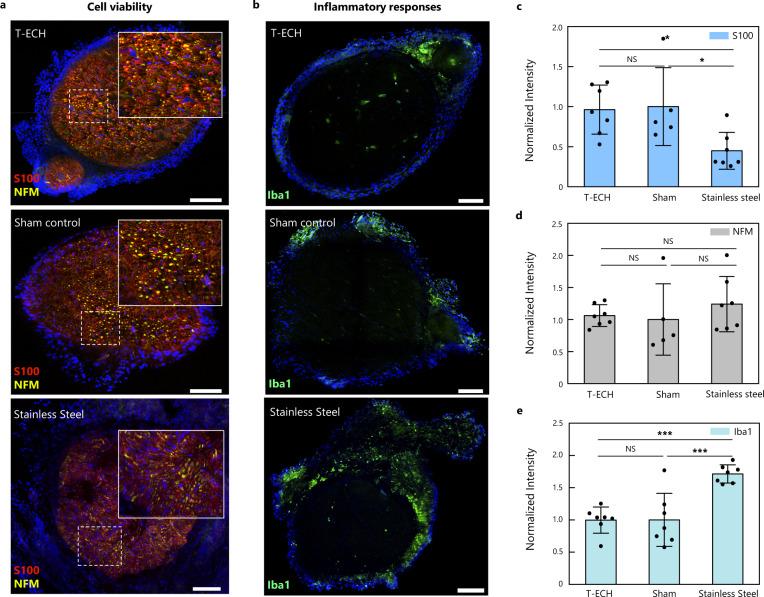https://cdn.ncbi.nlm.nih.gov/pmc/blobs/552b/10113367/21e98a937a21/41467_2023_37948_Fig6_HTML.jpg
