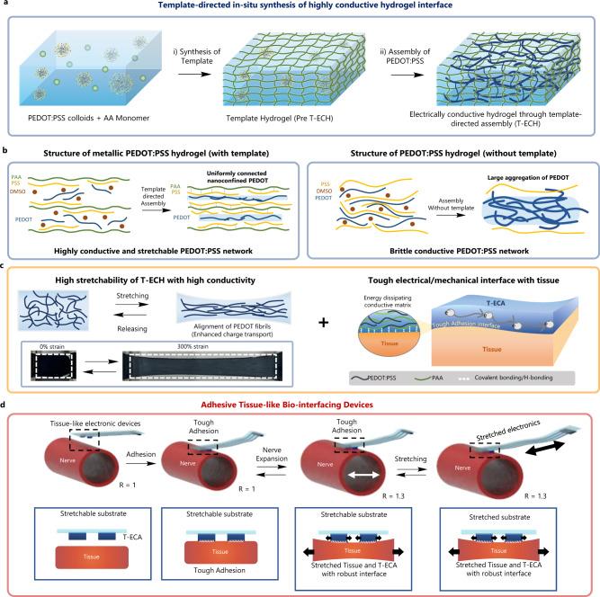 https://cdn.ncbi.nlm.nih.gov/pmc/blobs/552b/10113367/cb974769cec1/41467_2023_37948_Fig1_HTML.jpg