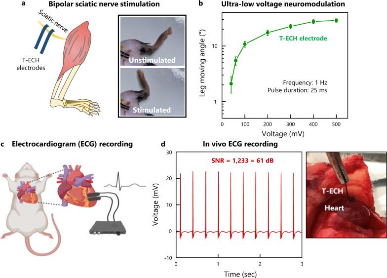 https://cdn.ncbi.nlm.nih.gov/pmc/blobs/552b/10113367/e8dbdb8b5770/41467_2023_37948_Fig5_HTML.jpg