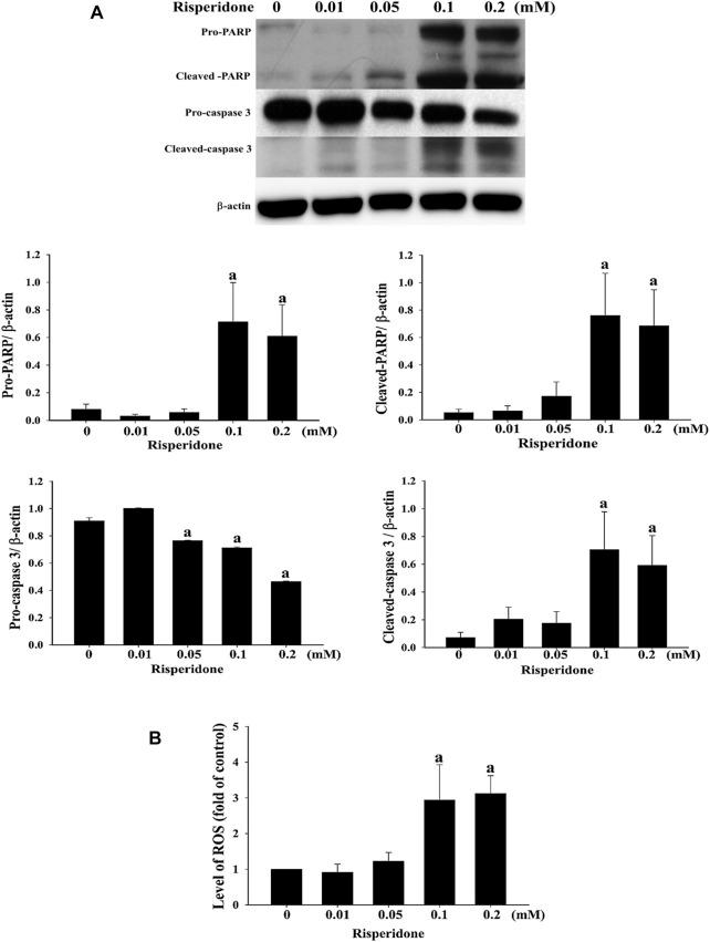 https://cdn.ncbi.nlm.nih.gov/pmc/blobs/552c/9013946/f7aac877ce87/fphar-13-846455-g003.jpg